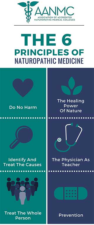 The Six Principles Of Naturopathic Medicine